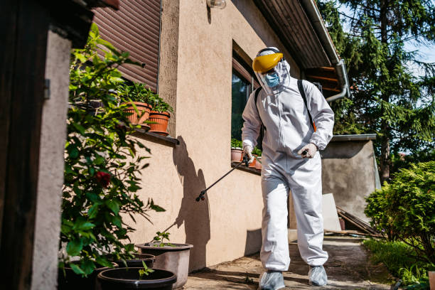 Best Termite Control Services  in Whitney Point, NY