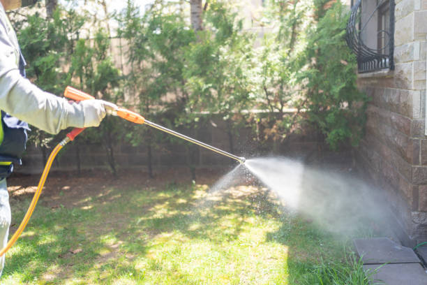 Best Local Pest Control Services  in Whitney Point, NY